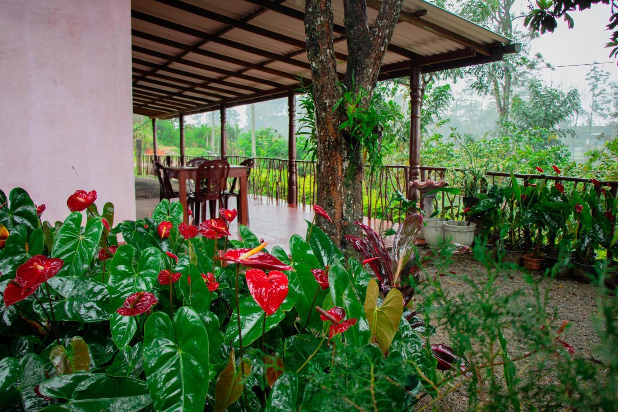 אלה Nine Arch Homestay מראה חיצוני תמונה